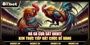 Đá Gà Cựa Sắt 8KBET – Xem Trực Tiếp Đặt Cược Dễ Dàng