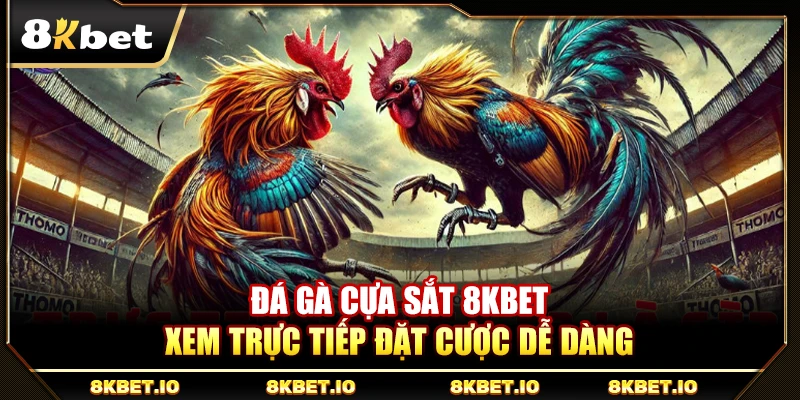 Đá Gà Cựa Sắt 8KBET – Xem Trực Tiếp Đặt Cược Dễ Dàng