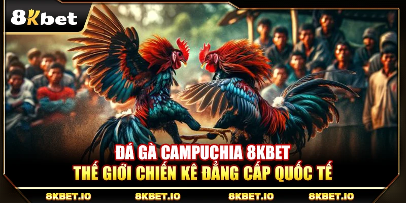 Đá Gà Campuchia 8KBET – Thế Giới Chiến Kê Đẳng Cấp Quốc Tế