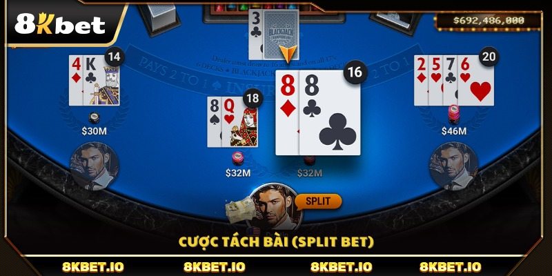 Hình thức cược chia bài (Split) trong Blackjack