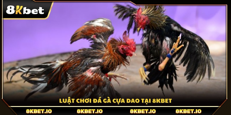 Một số quy định và luật lệ khi tham gia