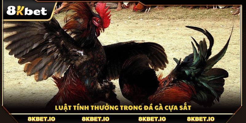 Hướng dẫn cách xác định số tiền thắng cược