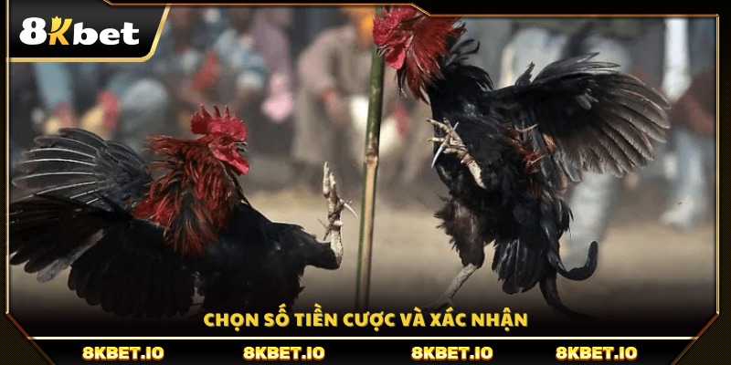 Xác định mức cược mong muốn rồi tham gia trận đấu